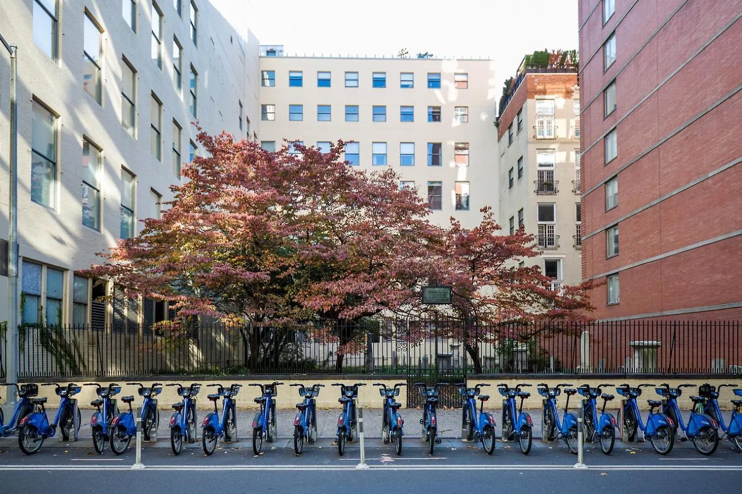 Апартаменты Chelsea 1Br W Gym Doorman Nr High Line Nyc-1123 Нью-Йорк